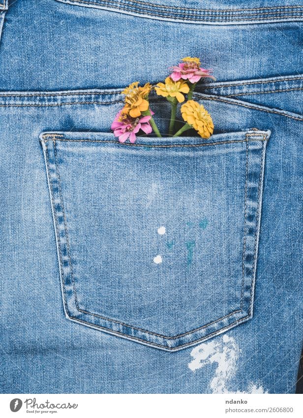 flowers in the back pocket of blue jeans Style Design Flower Fashion Clothing Jeans Old Blossoming Blue Yellow Colour Denim Consistency background casual