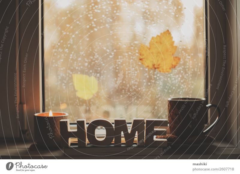 cozy autumn morning at home. Hot tea and candle Coffee Tea Lifestyle Relaxation Reading Book Autumn Weather Rain Leaf Safety (feeling of) Comfortable cup window