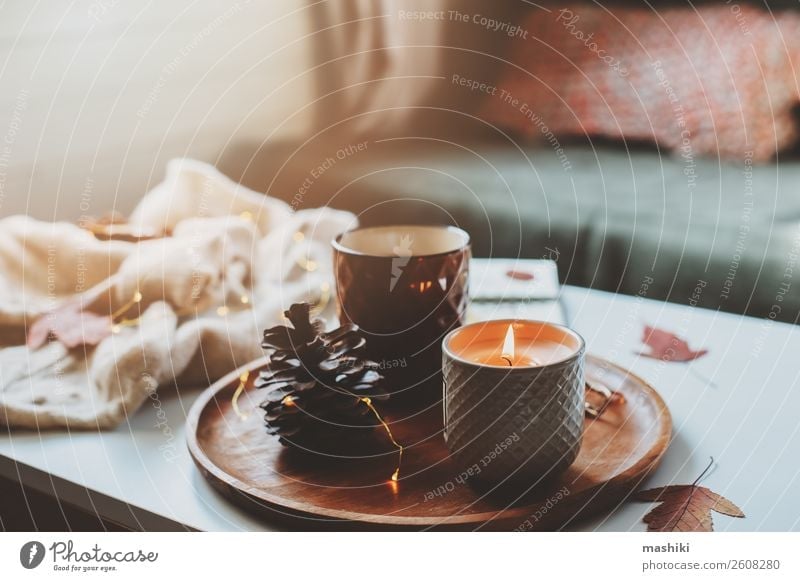 cozy autumn or winter morning at home. Breakfast Tea Lifestyle Relaxation Winter Decoration Table Book Landscape Autumn Wood Hot Natural Safety (feeling of)