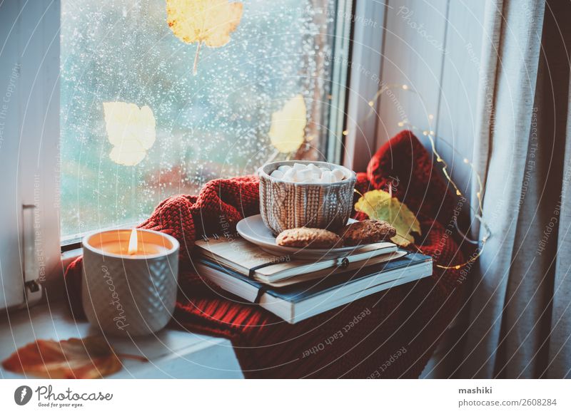 cozy autumn morning at home. Hot cocoa with marshmallows Breakfast Coffee Tea Lifestyle Relaxation Autumn Weather Rain Leaf Safety (feeling of) Comfortable cup