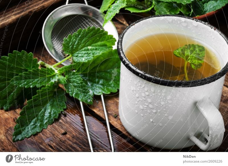 Tea with green fresh melissa leaves tea drink herb healthy leaf cup mint herbal melissa tea plant beverage hot aroma medicine peppermint balm flower fragrant