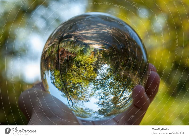 A glass ball of nature Beautiful Vacation & Travel Tourism Summer Hand Art Nature Landscape Earth Sky Autumn Tree Grass Leaf Park Forest Sphere Glittering