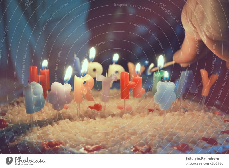 Happy Birthday candles Cake Hand Fingers Delicious Joy Happiness Joie de vivre (Vitality) Together Birthday cake Congratulations shoulder stand Ignite