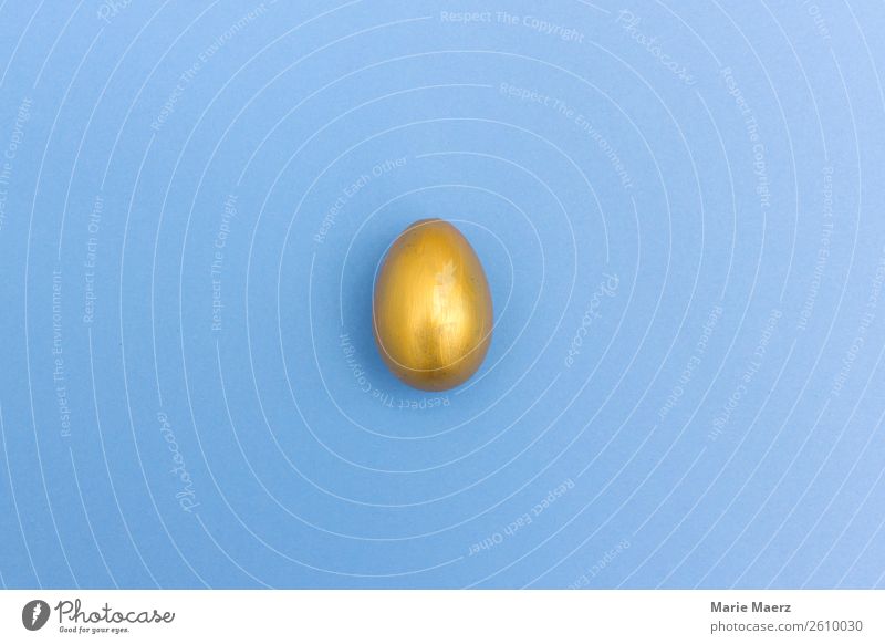 golden egg Egg Shopping Lie Exceptional Curiosity Blue Gold Success Discover Expectation Mysterious Money Luxury Target Problem solving Minimalistic Hide