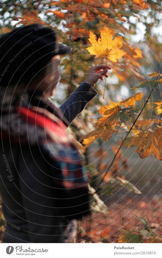 #A# Autumn trip 1 Human being Nature Climate Beautiful weather Esthetic Autumnal Autumn leaves Autumnal colours Early fall Automn wood Autumnal weather