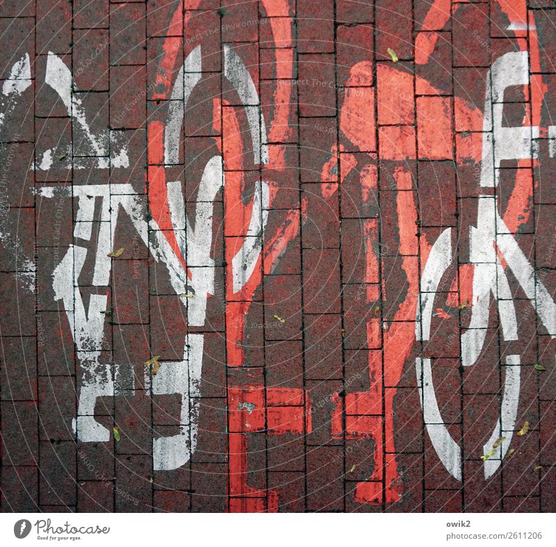 Who has right of way? Transport Traffic infrastructure Cycle path Poland Bicycle Paving stone Cobbled pathway Sign Signs and labeling Under Crazy Red White