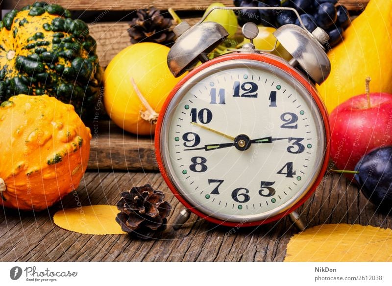 Beautiful autumn harvest and clock pumpkin decoration fall harvesting retro time alarm concept vintage hour timer november timepiece autumn background symbol