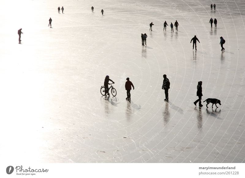 when the world. Human being Friendship Nature Water Winter Ice Frost Lake Going Dog Ice-skating Frozen surface Smoothness Black & white photo Small