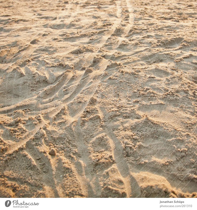 Traces in the sand Contentment Senses Relaxation Calm Meditation Vacation & Travel Tourism Far-off places Freedom Expedition Summer Summer vacation Beach