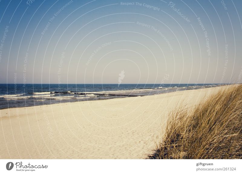 On the beach Environment Nature Landscape Plant Elements Sand Water Sky Cloudless sky Summer Beautiful weather Waves Coast Beach Baltic Sea Ocean Natural Blue