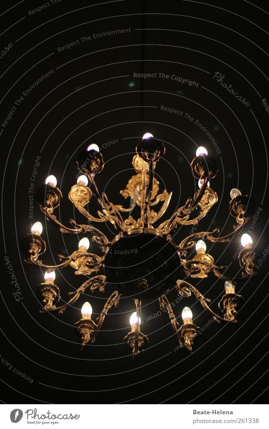 The search for the next chandelier Lifestyle Elegant Style Design Living or residing Flat (apartment) Interior design Lamp Decoration Metal Exotic Gold Black