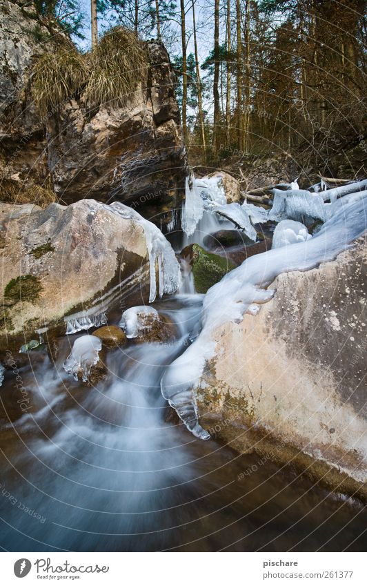 -16° Nature Landscape Water Ice Frost Forest Rock Brook Cold Colour photo Exterior shot Day Long exposure Wide angle