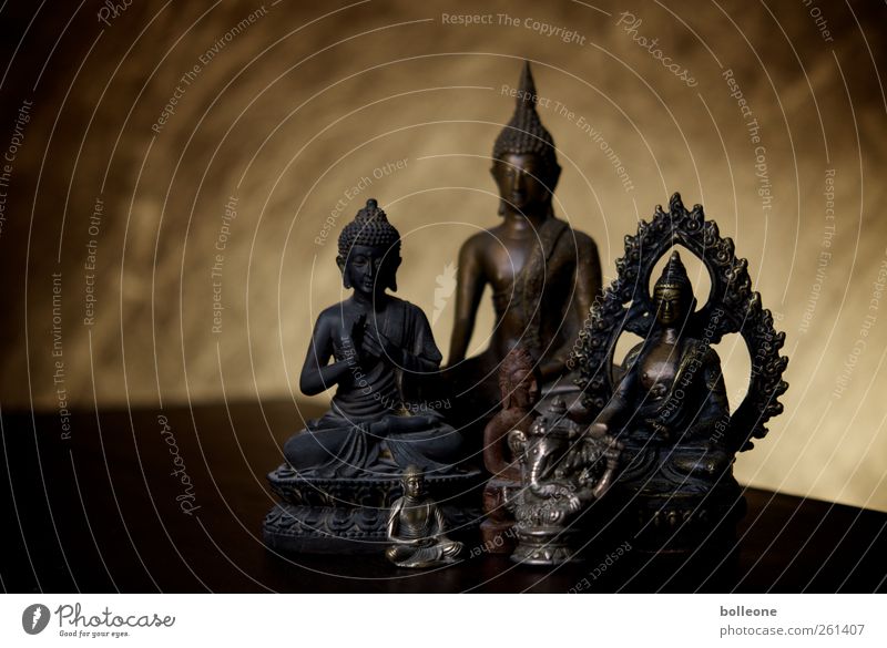 A handful of Buddhists Art Work of art Buddha Statue of Buddha Metal Happy Brown Gold Joie de vivre (Vitality) Love Serene Truth Wisdom Purity