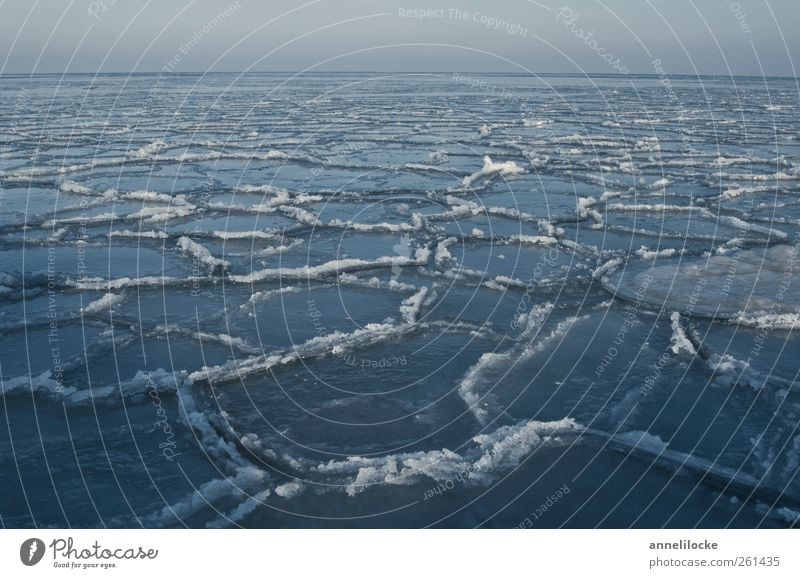 Arctic Ocean Nature Landscape Horizon Winter Climate Climate change Ice Frost Baltic Sea Swimming & Bathing Cold Blue Float in the water Ice floe Frozen Grind