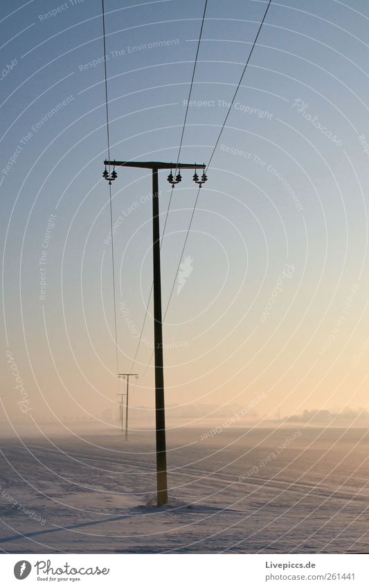 vast country Energy industry Landscape Sun Sunlight Winter Weather Beautiful weather Fog Ice Frost Snow Plant Field Wood Metal Electricity pylon Exterior shot