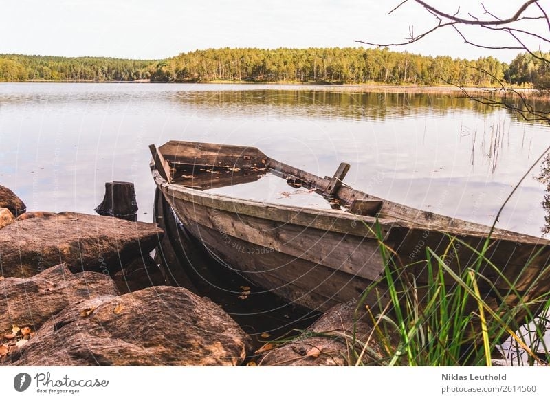 Wooden boat on the shore full of water Summer Landscape Water Sky Sunlight Beautiful weather Plant Tree Grass Wild plant Forest Rock Coast Lakeside Navigation