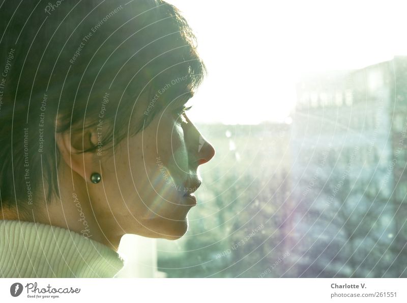 View into the light Human being Feminine Woman Adults Head 1 30 - 45 years Sunlight Winter Beautiful weather Brunette Short-haired Think Illuminate Looking