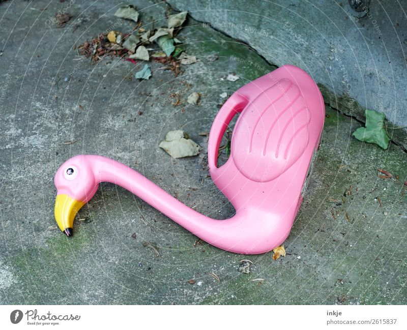 Flamingo in autumn Leisure and hobbies Living or residing Autumn Deserted Terrace Toys Watering can Plastic figurine Concrete Lie faded Colour photo