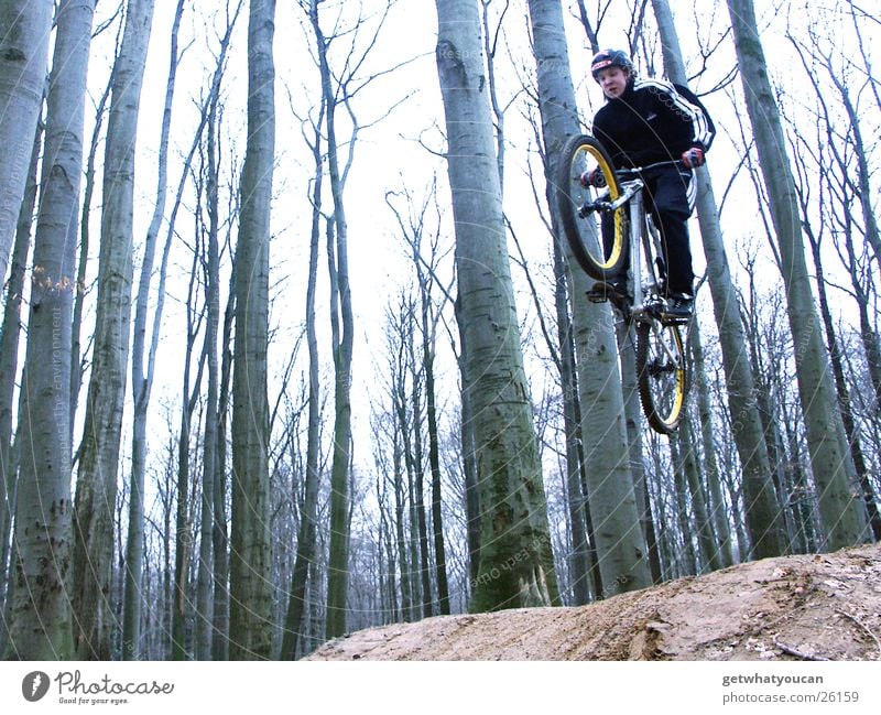 steep flight Bicycle Forest Jump Trick Speed Hill Ramp Brave Tree Extreme sports dirt Movement Dynamics Earth Floor covering Aviation Exterior shot