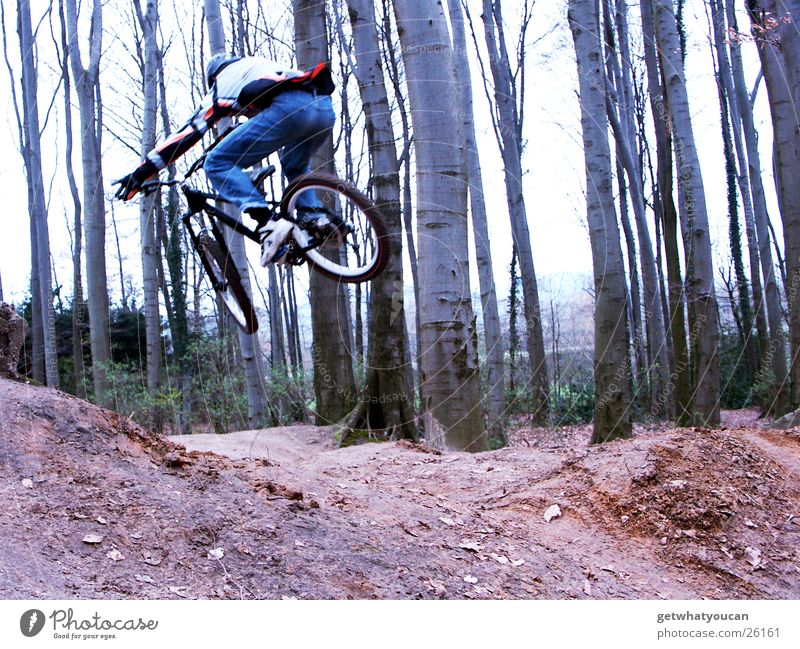 low-altitude flight Bicycle Forest Jump Trick Speed Hill Ramp Brave Tree Extreme sports dirt Movement Dynamics Earth Floor covering Aviation Exterior shot