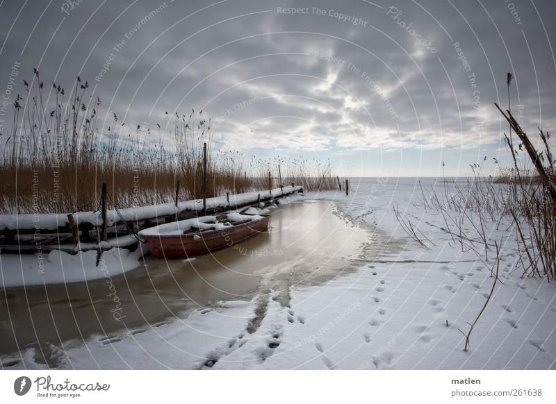 At the Lagoon Landscape Sky Clouds Horizon Winter Weather Coast Baltic Sea Fishing boat Brown Pink White cloud front Common Reed Cloud cover Snow Tracks