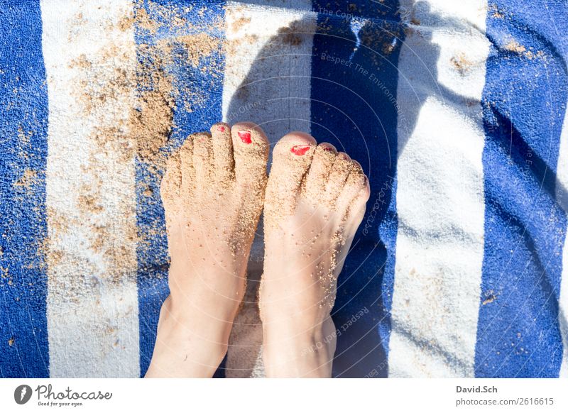 sandy feet on blue/white striped towel Vacation & Travel Tourism Summer Summer vacation Beach Human being Woman Adults Feet 1 Sand Coast To enjoy Feminine Blue