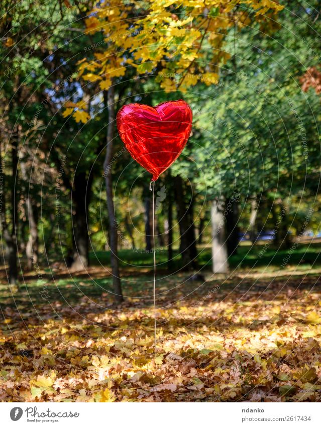 red balloon Valentine's Day Nature Landscape Autumn Tree Park Forest Balloon Heart Flying Love Natural Yellow Red Moody Sympathy Hope Colour Vacation & Travel
