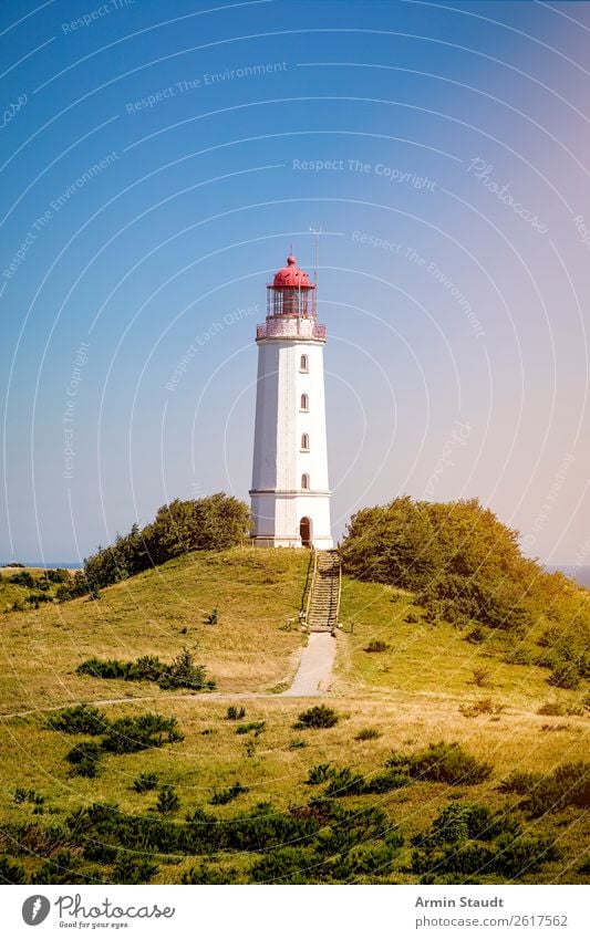 Light tower Dornbusch on Hiddensee Vacation & Travel Tourism Trip Far-off places Summer Summer vacation Island Nature Landscape Cloudless sky Beautiful weather