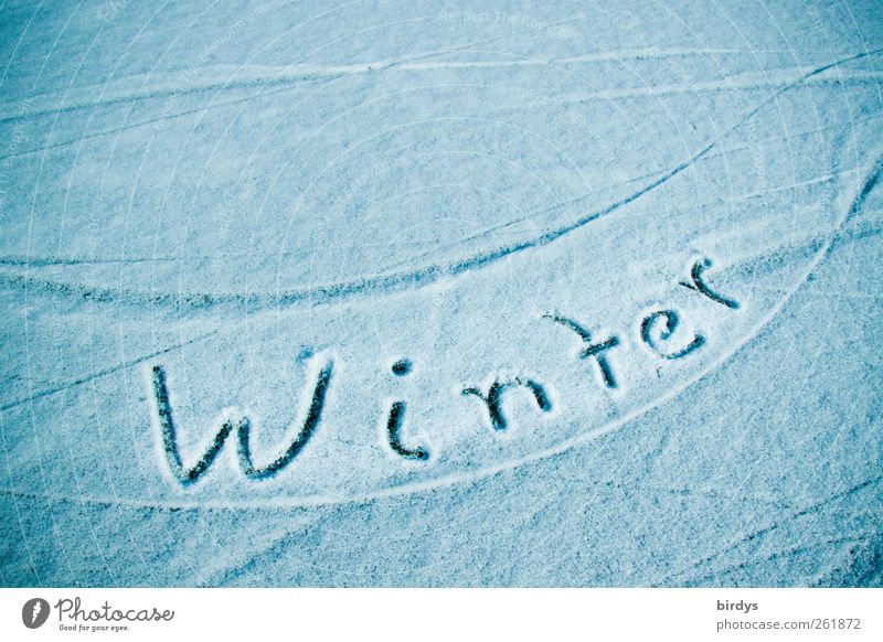 Font " Winter " in the snow on a snowy ice surface Climate Snow Characters Esthetic Cold Ice Positive Climate change Blue Frost Optimism Movement Nature Seasons