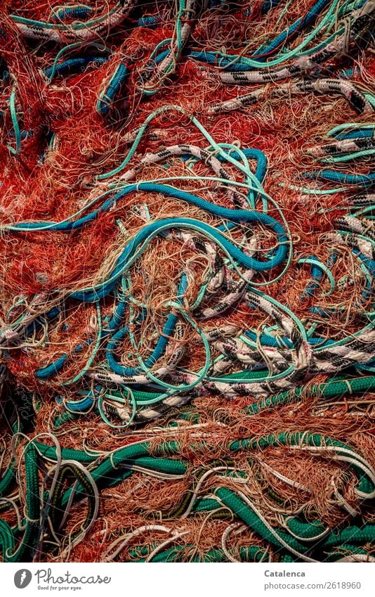 Tangle of colorful ropes in a red fishing net Fisherman Fishery Fishing boat Ocean fishnet Rope Net Trawl netting Plastic Multicoloured Threat Survive