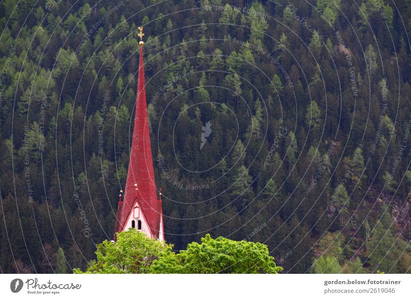 Small church, big impact Nature Plant Beautiful weather fir trees Deciduous tree Alps Church spire Tourist Attraction Relaxation Fantastic Blue Gray Red White