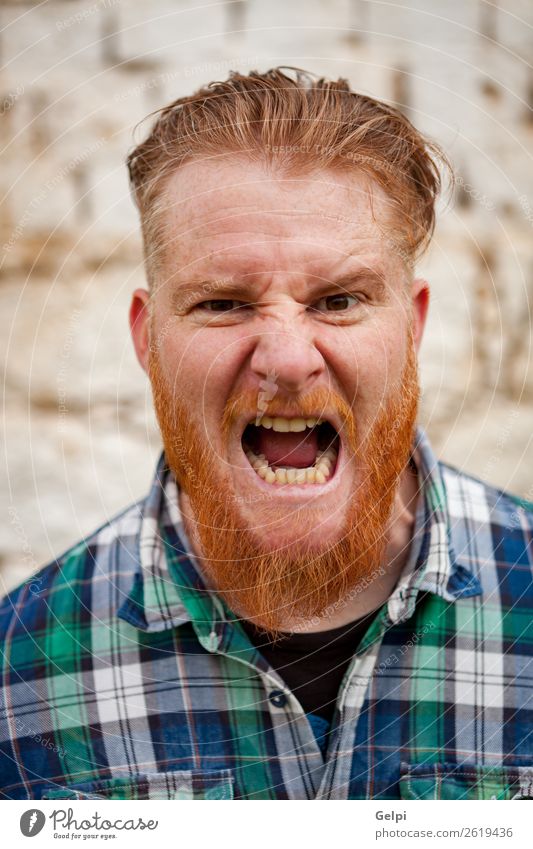 Red haired man Hair and hairstyles Face Human being Boy (child) Man Adults Red-haired Beard Exceptional Modern Cute Crazy Anger White Emotions menacing Grinning