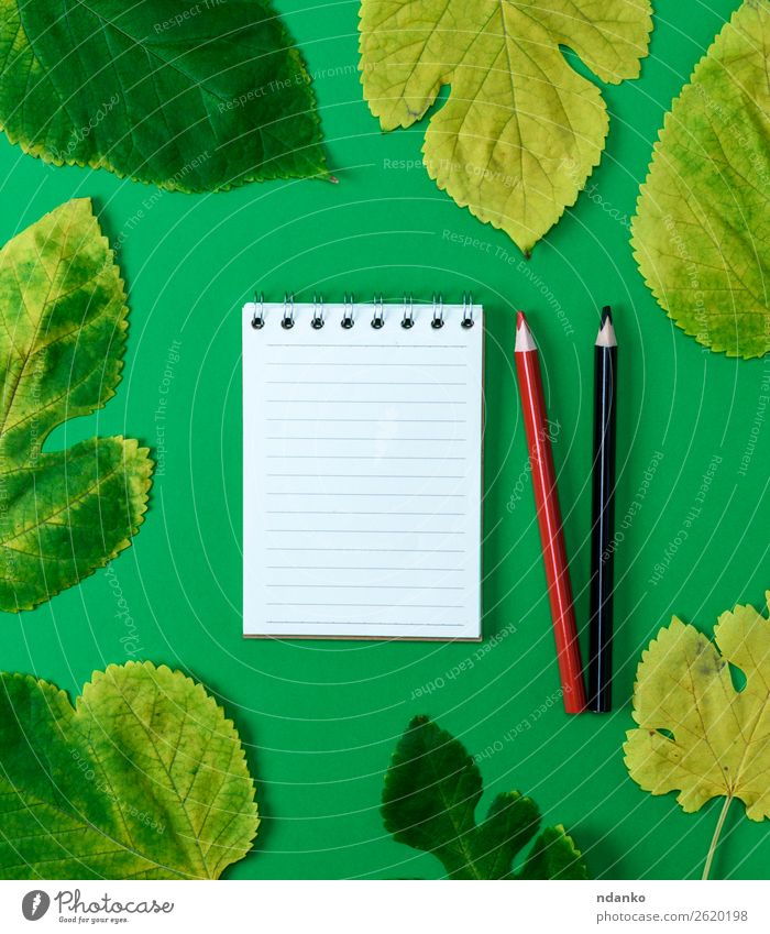 open notebook in line with white blank pages Education School Nature Plant Autumn Tree Leaf Paper Draw Bright Natural Clean Yellow Green Red Black White Idea