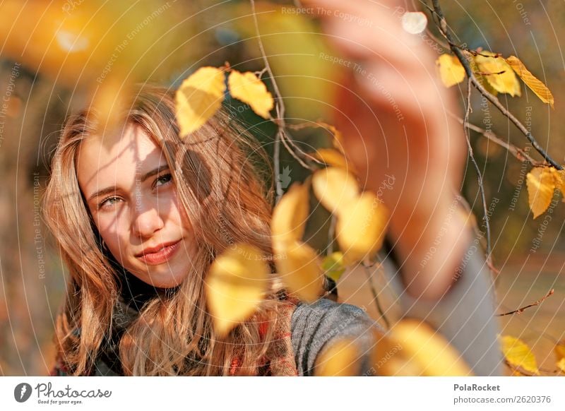 #A# Autumn light 1 Human being Esthetic Autumn leaves Autumnal Autumnal colours Early fall Automn wood Autumnal weather Autumnal landscape Model Manikin Looking