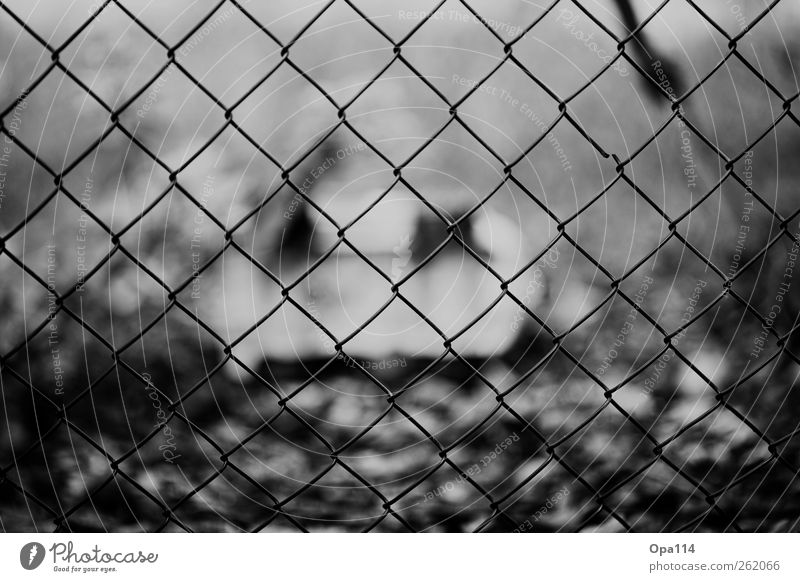 imprisoned "Fence Wire mesh fence" Wait Cold Gloomy Animosity Embitterment Aggression Hatred Argument "Trapped penned latticed infinitely fenced in"