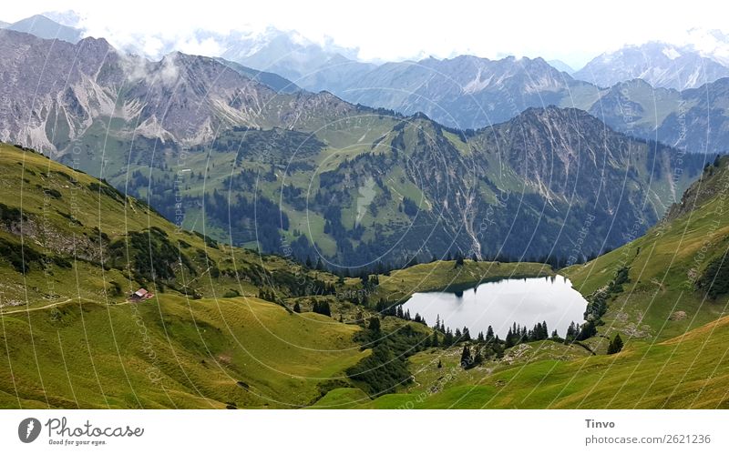 View of the Seealpsee and Allgäu Alps Vacation & Travel Mountain Hiking Nature Landscape Plant Meadow Peak Lake Fantastic Gigantic Vantage point Beautiful