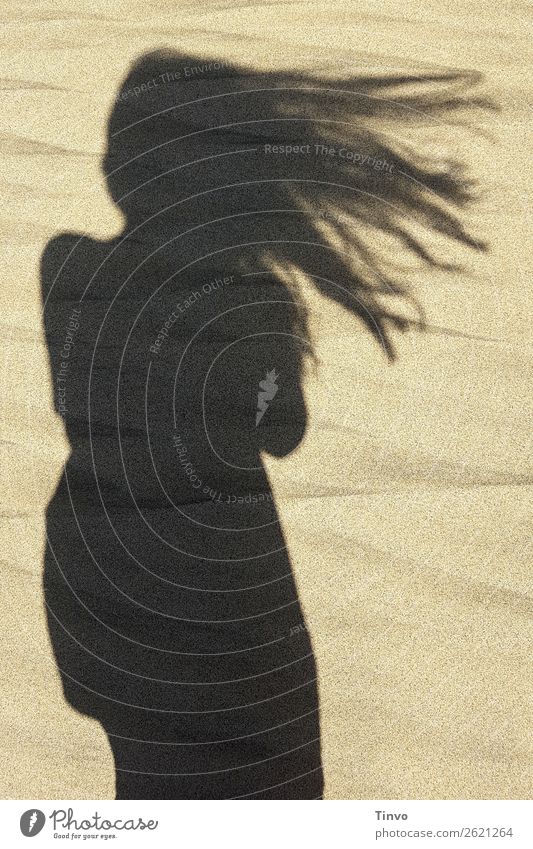 Shadow of a woman with long hair on the beach Feminine Hair and hairstyles 1 Human being Nature Summer Beach Eroticism Relaxation Ease Vacation & Travel Wind