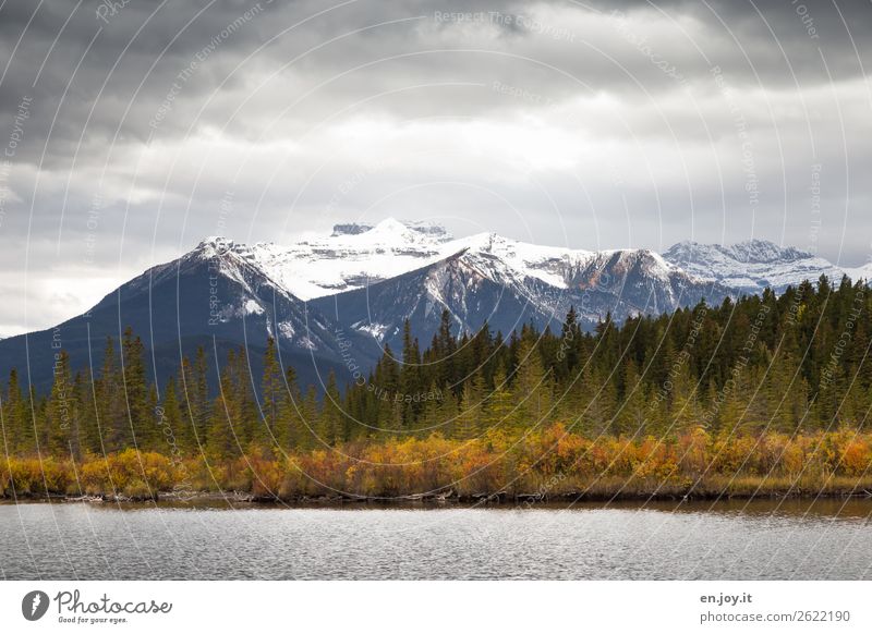 autumnal lakeside in front of mountains with snow in bad weather with rain clouds Autumn Lakeside Forest Rocky Mountains Banff National Park Canada