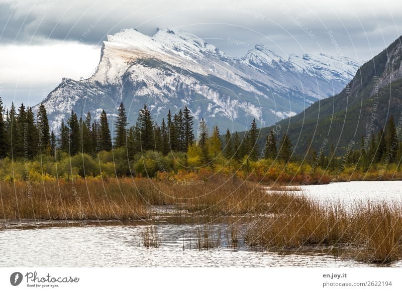 local mountain Vacation & Travel Trip Nature Landscape Sky Clouds Autumn Bushes Mountain Mount Rundle Snowcapped peak Lakeside Vermilion Lakes Idyll Canada