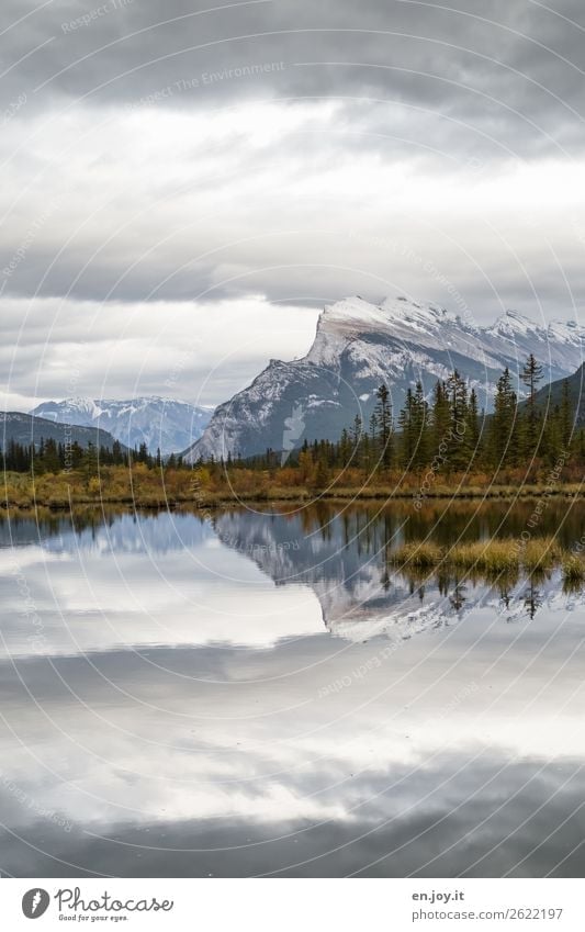 quiet in the evening Vacation & Travel Trip Mountain Nature Landscape Sky Clouds Autumn Bushes Coniferous trees Rocky Mountains Mount Rundle Snowcapped peak