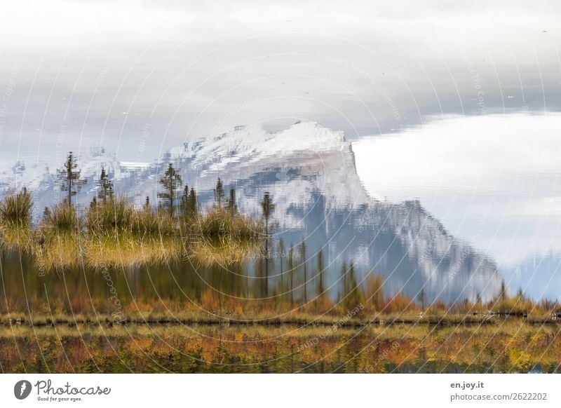Inverted world | Herbstsee Vacation & Travel Trip Nature Landscape Sky Autumn Bushes Rock Mountain Mount Rundle Peak Lakeside Vermilion Lakes Calm Sadness