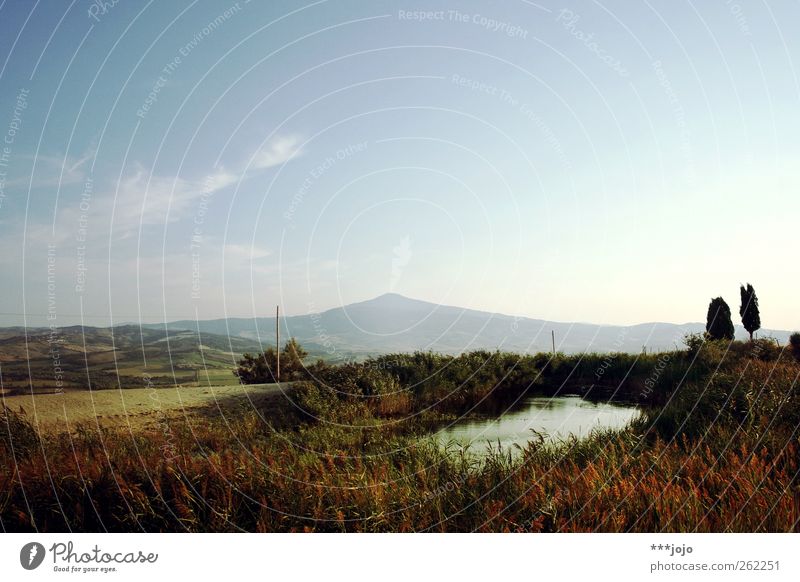 Oasis. Landscape Nature Tuscany Common Reed Pond Italy Mountain Hill Idyll Mediterranean Colour photo Exterior shot Deserted Copy Space top Neutral Background