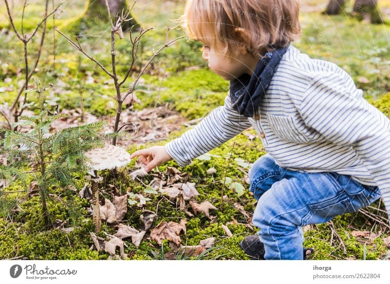 A baby playing on a forest path in autumn Lifestyle Joy Happy Vacation & Travel Tourism Adventure Freedom Hiking Hallowe'en Child Human being Baby Boy (child)