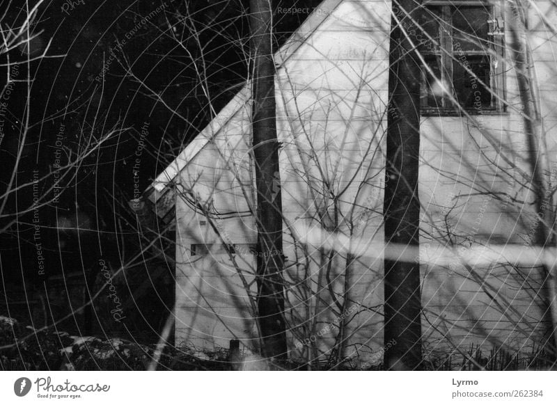 pitch dark the night House (Residential Structure) Nature Winter Tree Old Dark Creepy Gray Black White Apartment Building Black & white photo Exterior shot