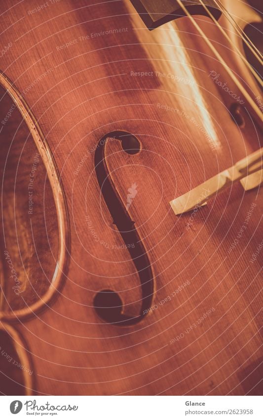 Classical music close up Elegant Style Art Music Orchestra Cello Wood Esthetic Near Brown Moody Warm-heartedness Beautiful Design Uniqueness Culture Quality