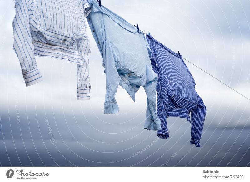leash Sky Clouds Wind Clothing Shirt Striped Esthetic Beautiful Blue White Laundry Clothesline Clothes peg Washing Dry Easy Blow Colour photo Multicoloured