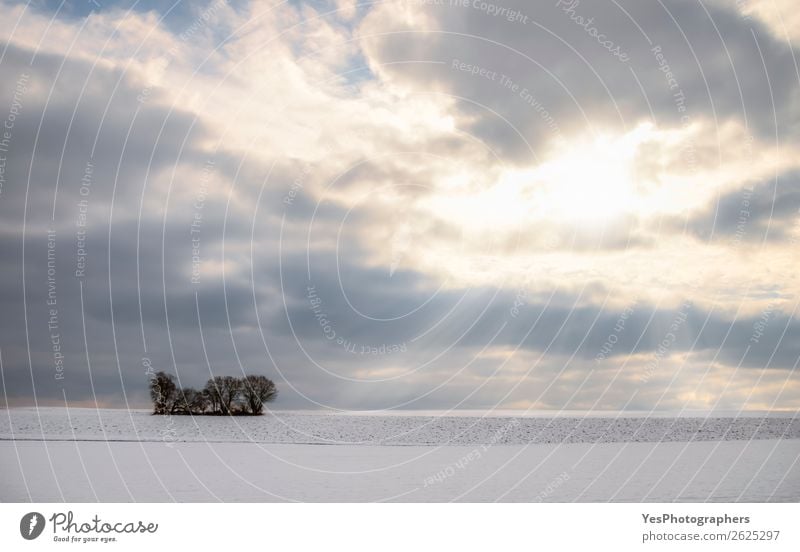 Sun rays through clouds and snowy field Calm Winter Snow Nature Landscape Horizon Weather Tree Meadow Infinity Bright Natural White Loneliness February Germany