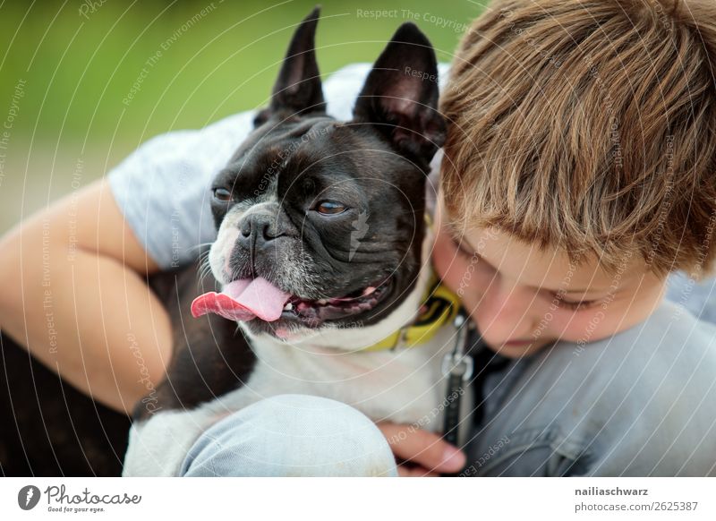 friendship Human being Child Boy (child) Friendship Infancy Face 1 8 - 13 years Animal Pet Dog Animal face boston terrier French Bulldog Observe To hold on