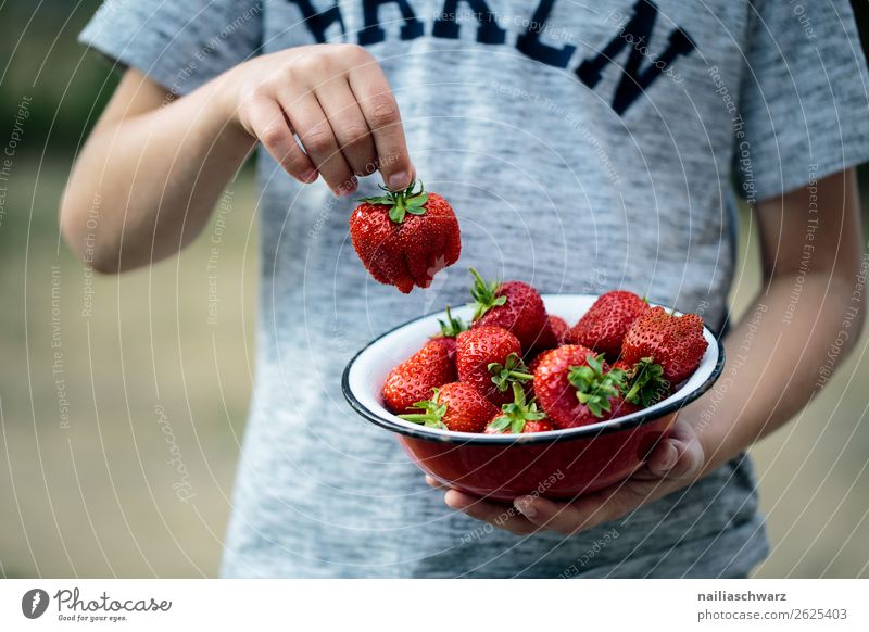 summer Food Fruit Strawberry Nutrition Organic produce Vegetarian diet Bowl Healthy Healthy Eating Human being Masculine Child Boy (child) Infancy Body Hand 1