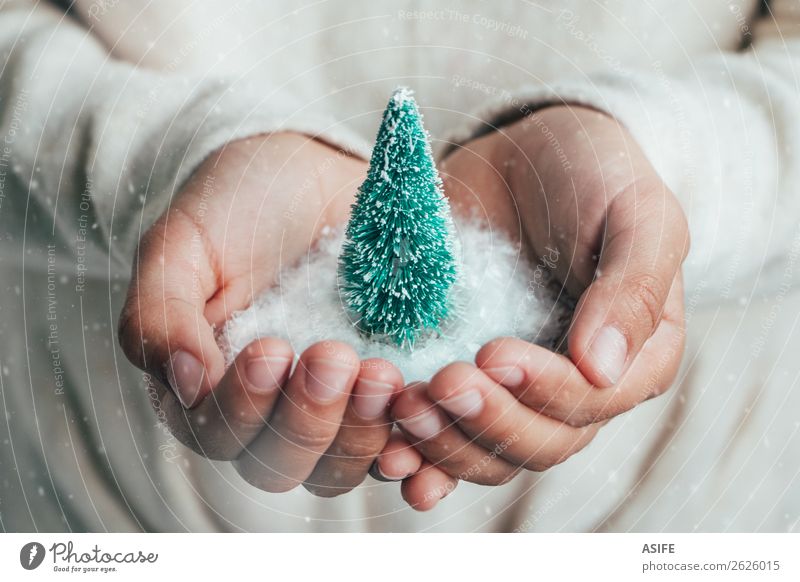 Christmas concept Joy Happy Snow Christmas & Advent Child Infancy Hand Snowfall Tree Love Dream Protection Hope Idea fir Pine Christmas tree Miniature Hold